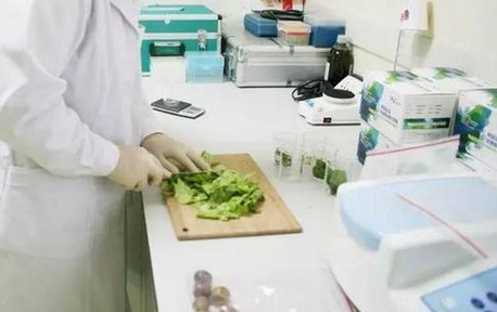 食品重金屬檢測(cè)儀，關(guān)注食品安全，防范重金屬危害